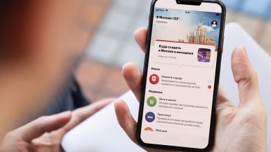 Сергунина: Приложением «Моя Москва» в среднем за месяц пользуются 1,2 млн человек