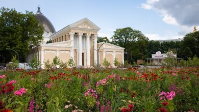 Прогулка по живописным местам: более 40 локаций включили в «Зеленый маршрут» ВДНХ