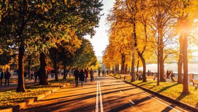 Сергунина: Сезонный раздел «Осень в Москве» появился на Russpass