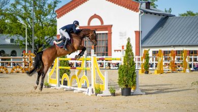120 тыс. человек посетили сезонные программы Центра национальных конных традиций на ВДНХ