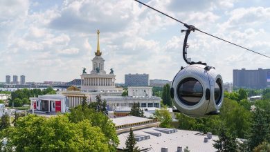 Сергунина: По канатной дороге прокатились уже более 500 тыс. посетителей ВДНХ
