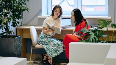 Сергунина: В Москве проведут бесплатные консультации для представителей НКО