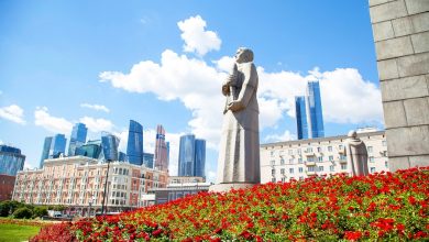 Сергунина: Участники московского фестиваля «Сады и цветы» создадут десятки ландшафтных композиций