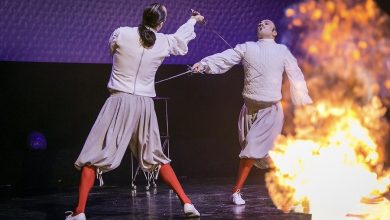 Сергунина: Каскадеры из России и других стран выступят в кинопарке «Москино»