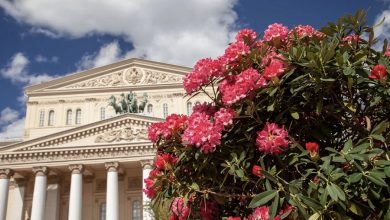 Новое оформление в рамках фестиваля «Сады и цветы» получили три площадки столицы