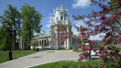 Сергунина: Москвичи назовут любимые места для весенних фотосессий