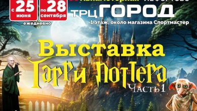 Выставка «Вселенная Гарри Поттера» в Москве
