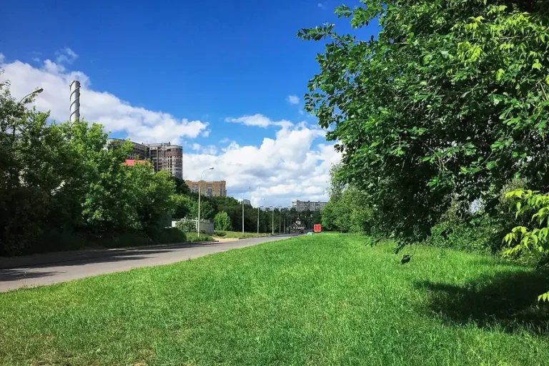 Кунцевское кладбище