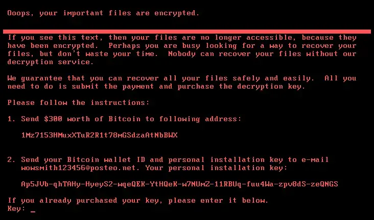 Компьютерному вирусу «Petya»