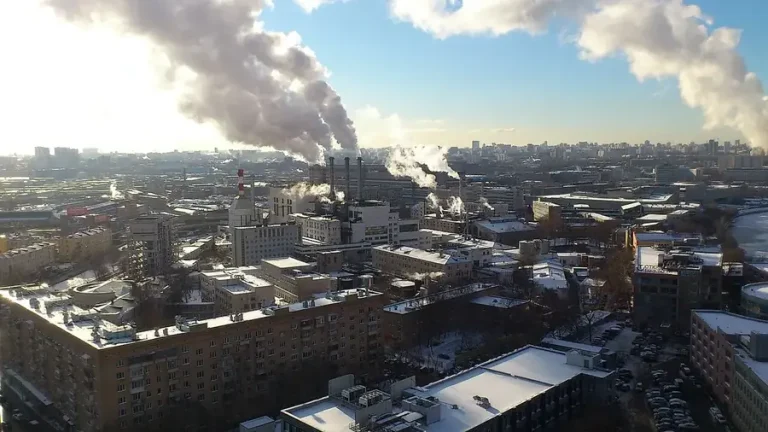 Maxima Panorama