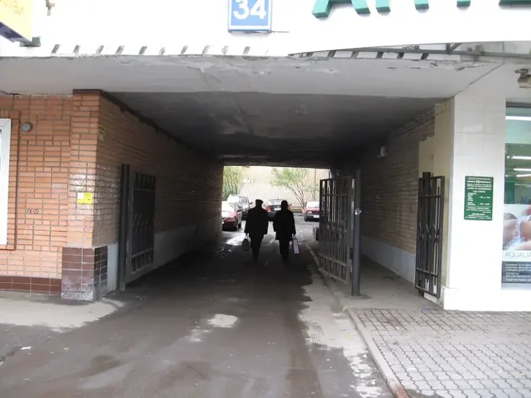 Планета Суши